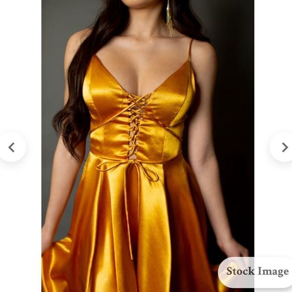 JOYFOLIE SHELLY DRESS IN MUSTARD NET XL - Picture 5 of 6